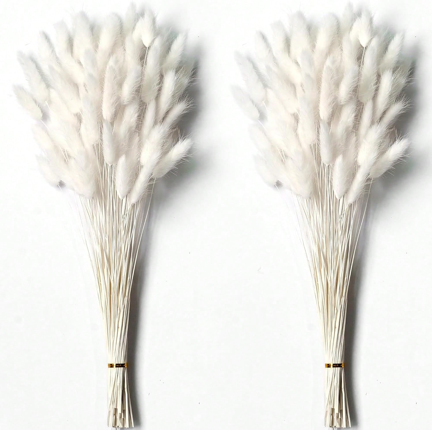 Pampas Grass Decor - 120 pezzi di erba di pampa