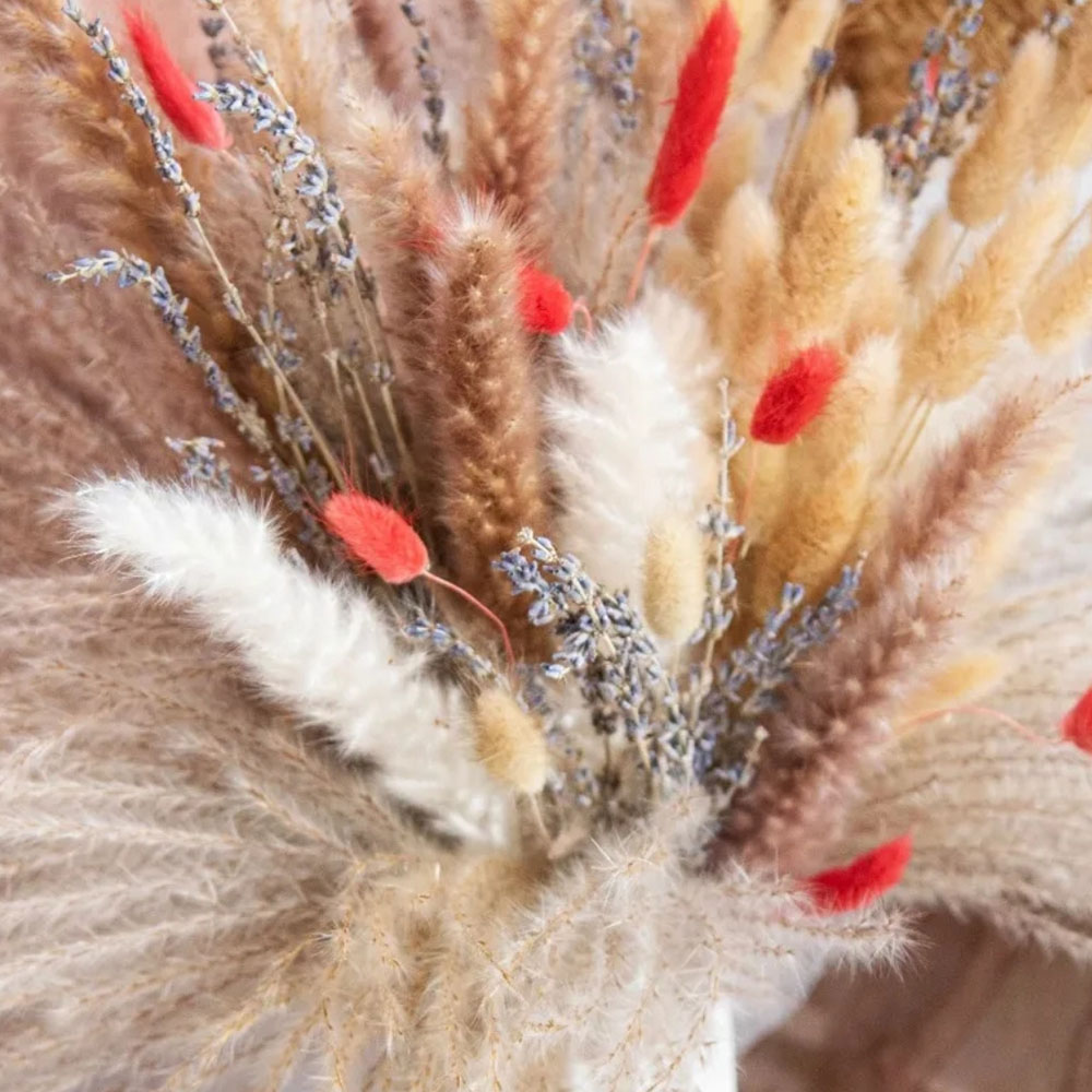 Bouquet di Fiori Secchi Natura - Pampas Grass Decor recensione e prezzo