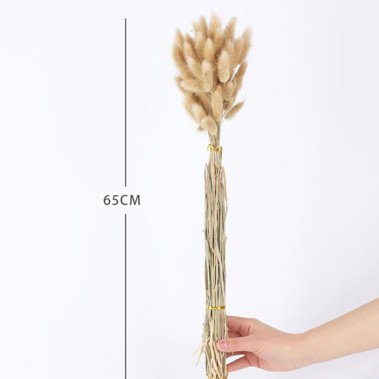 Bouquet di fiori secchi natura - Pampas Grass Decor recensione e prezzo