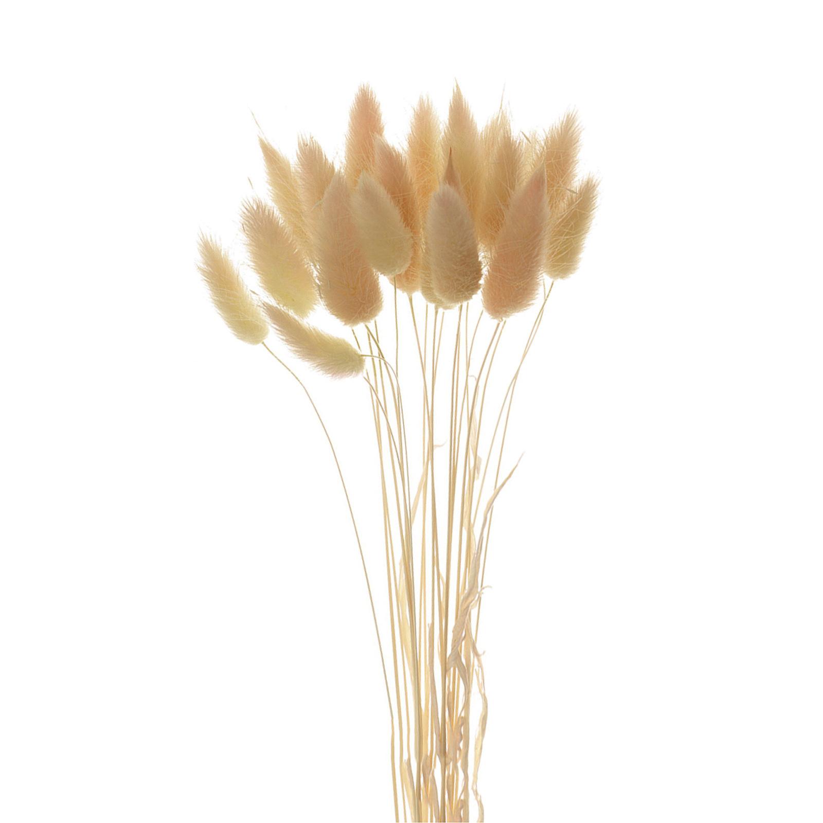 Bouquet di fiori secchi natura - Pampas Grass Decor recensione e prezzo