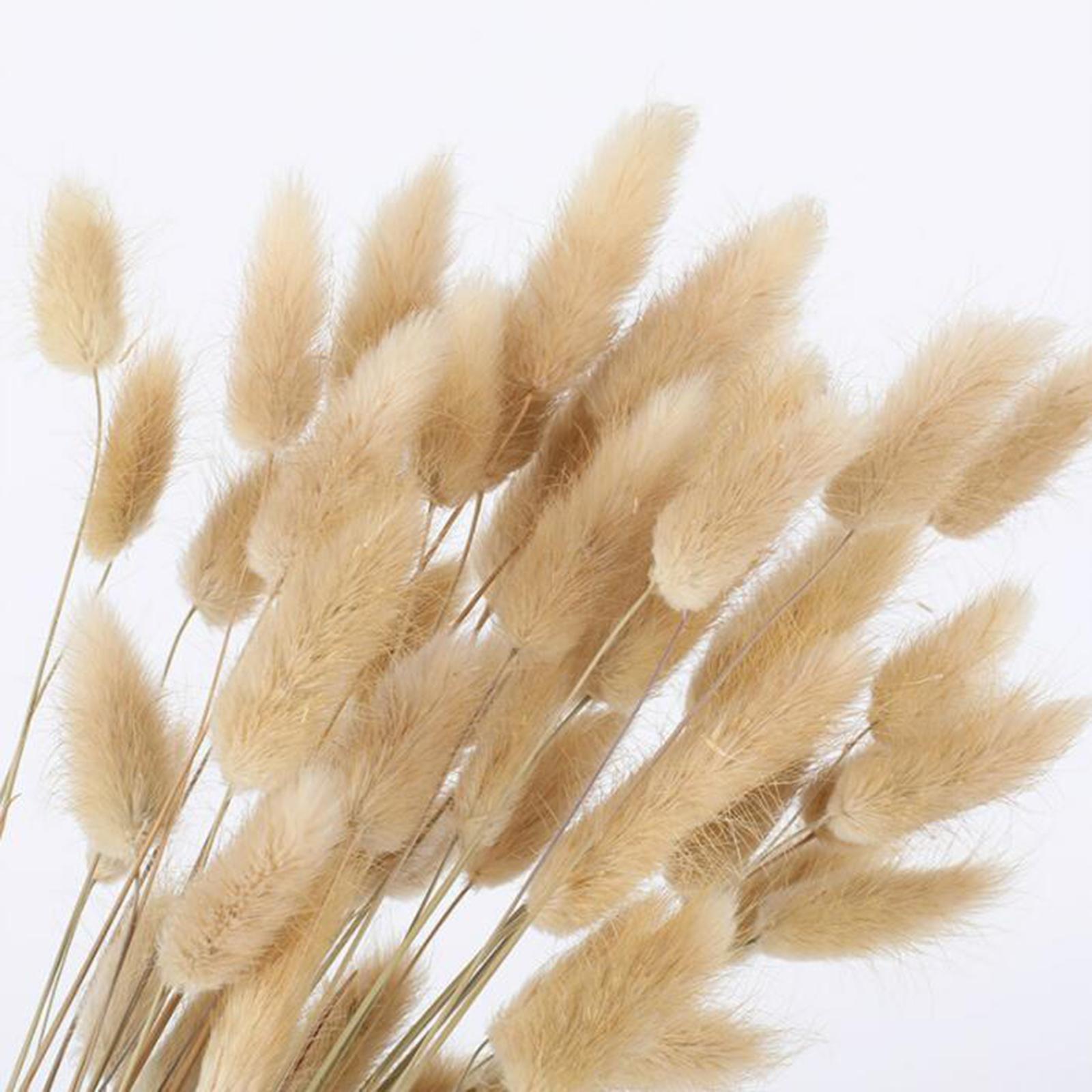Bouquet di fiori secchi natura - Pampas Grass Decor recensione e prezzo