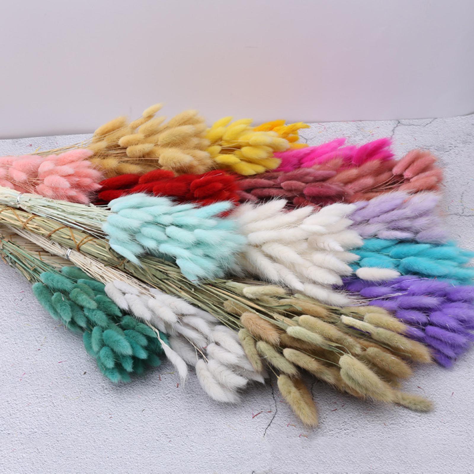 Bouquet di fiori secchi natura - Pampas Grass Decor recensione e prezzo